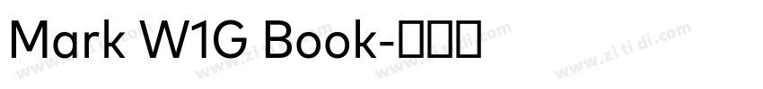 Mark W1G Book字体转换 Mark W1G Book字体转换